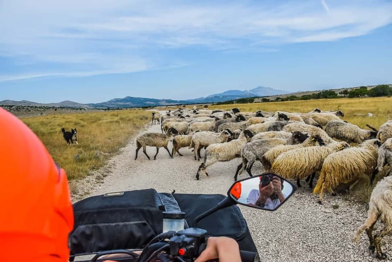 From Split: Full-Day Horse Riding & Quad Biking with Lunch - Why this day feels different from a normal Split excursion