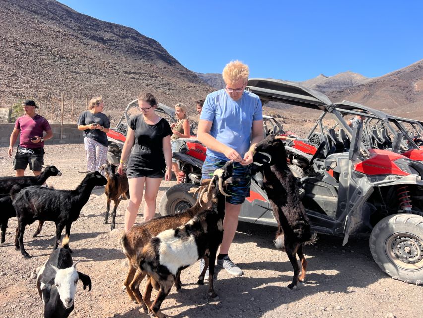 Fuerteventura : 2 hours Buggy Tour in Punta de Jandía - Who will enjoy this buggy tour most