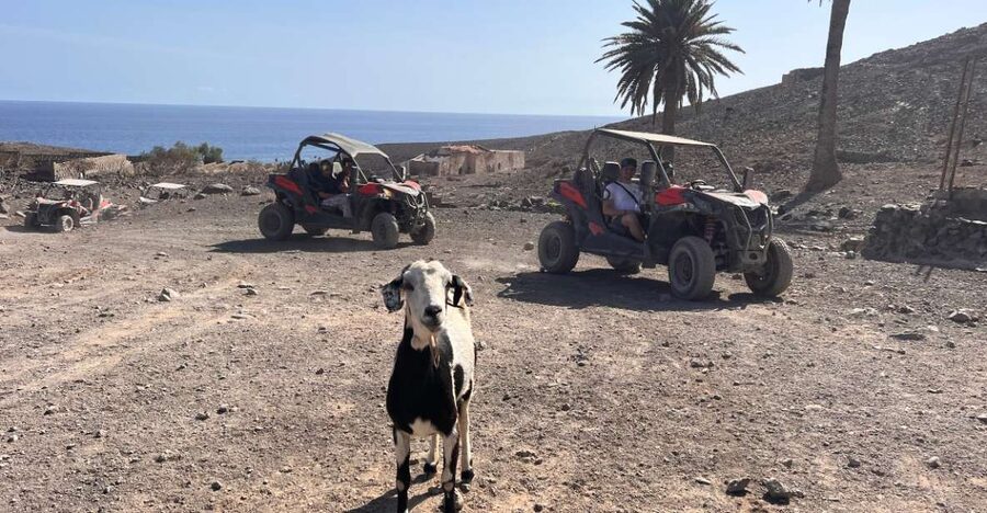 Fuerteventura : 2 hours Buggy Tour in Punta de Jandía - Setting out from the Morro Jable pier
