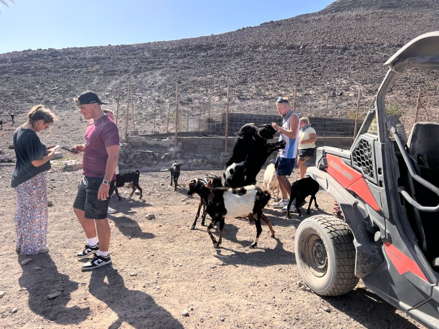 Fuerteventura : 2 hours Buggy Tour in Punta de Jandía - Reaching the oldest lighthouse on the island