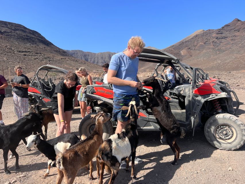 Fuerteventura : 2 hours Buggy Tour in Punta de Jandía - The return ride and overall pace