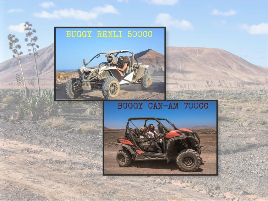 Fuerteventura: Dune Buggy Tour in Northern Fuerteventura - From Corralejo to the Corralejo dunes