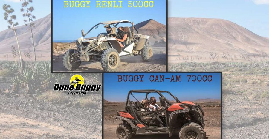 Fuerteventura: Dune Buggy Tour in Northern Fuerteventura - Villaverde and the volcanic area