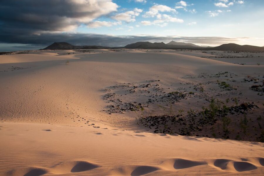 Fuerteventura: Dune Buggy Tour in Northern Fuerteventura - How much value do you get for $128?