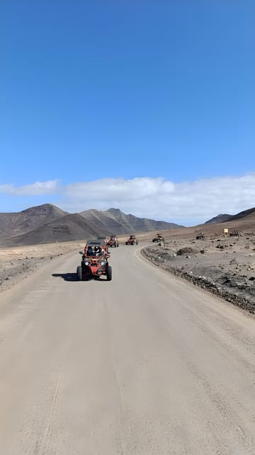 Fuerteventura: Jandía Natural Park & The Puertito Buggy Tour - Jandía’s dry mountains and coastal views