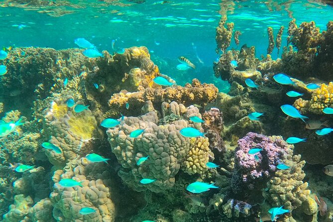 Full Day Combo ATV & Jet Ski with a Polynesian BBQ on a Motu - Weather, cancellation, and what to pack