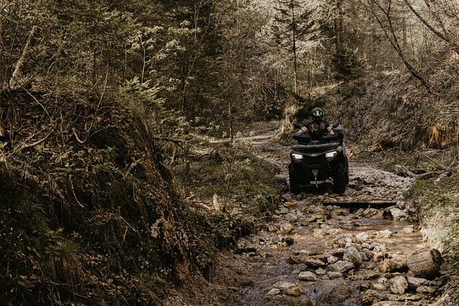 Full-Day Quad Rental in Bled - What the $168.20 price really buys