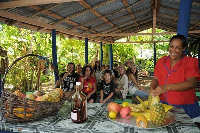 Full-Day Tour 4x4 ATV, Water Cave, and Snorkeling Cruise - Riding the ATV through Punta Cana’s countryside