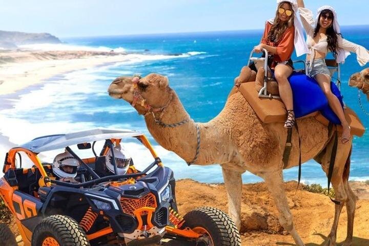 Fun Camel Ride and UTV COMBO with Tequila Tasting! - No personal cameras, paid photos, and the tradeoff