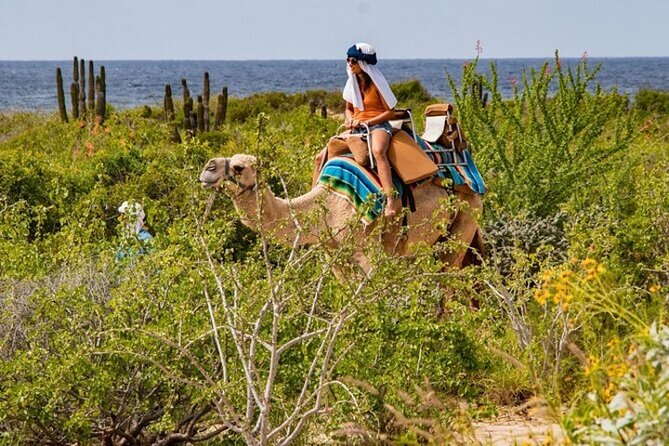 Fun Camel Ride and UTV COMBO with Tequila Tasting! - What the $109 price really buys