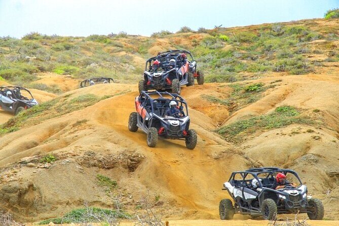 Fun Camel Ride and UTV COMBO with Tequila Tasting! - Check-in, fees, and the first decision