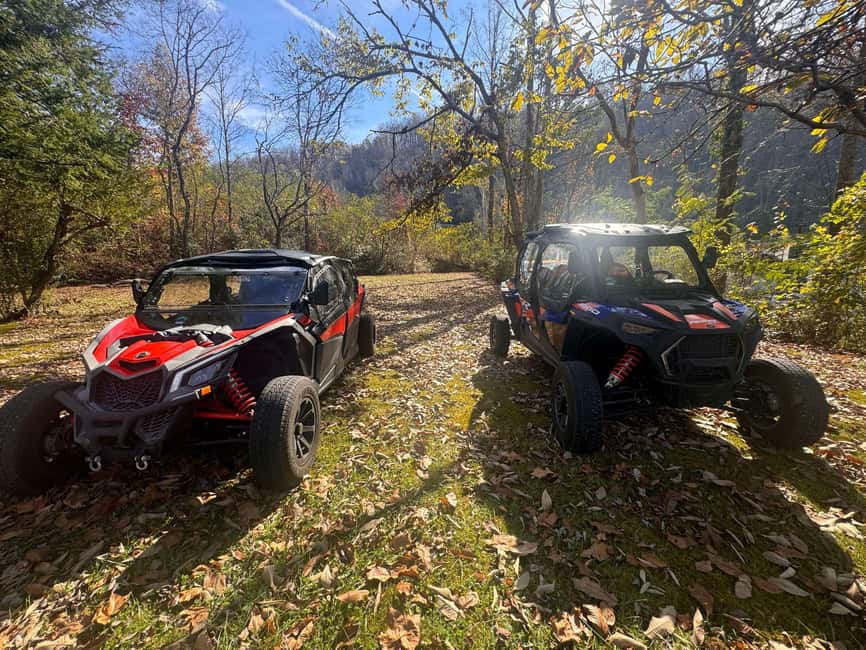 Gatlinburg: Self-Guided Street Legal UTV Rentals - Should you book this Gatlinburg UTV rental?