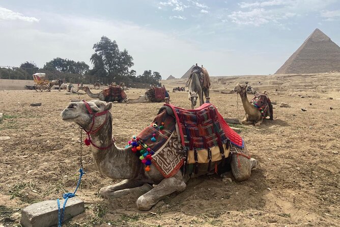 Giza Pyramids,Sphinx,Camel Ride,ATV Bike,Shopping, Dinner cruise - From ancient stone to a one-hour quad-bike ride