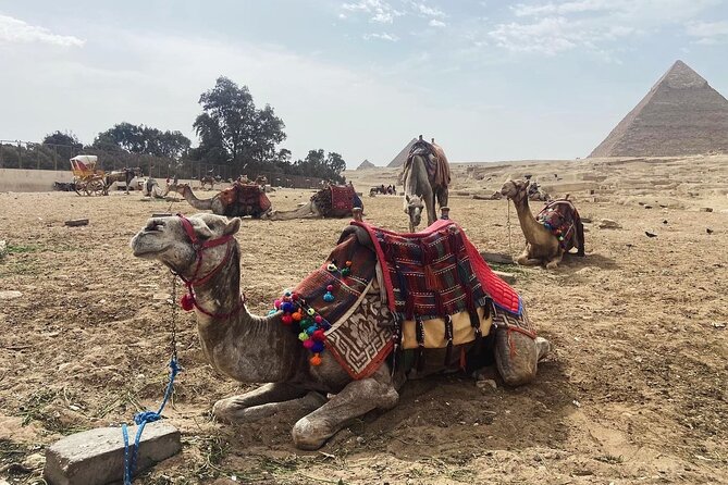 Giza Pyramids,Sphinx,Camel Ride,ATV Bike,Shopping, Dinner cruiseI - Dinner, dancing, and a two-hour Nile cruise