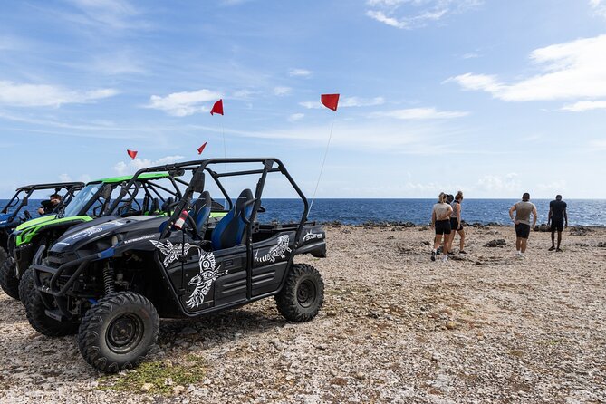 Go West ATV Tour in Curacao - Zoutpannen adds flamingos to the adventure