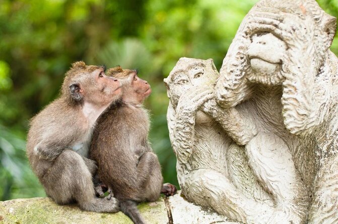 Gorilla Cave ATV Bali Ubud, Monkey Forest, Temple, and Lunch - Why this Ubud day works so well