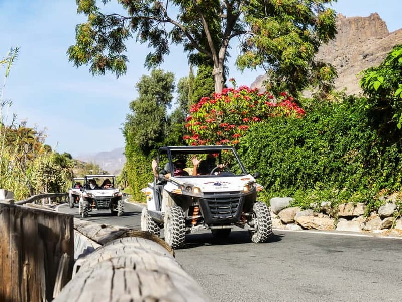 Gran Canaria: Off-Road Buggy Adventure in the Canyons - Pedro Gonzales viewpoint and the Ayagaures reservoir