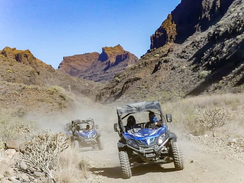 Gran Canaria: Off-Road Buggy Adventure in the Canyons - Guides, languages, and group feel