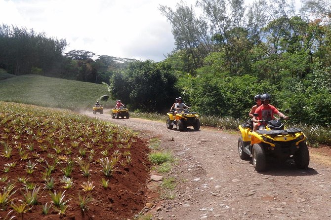 Grand Tour Quad Excursion in Moorea (Single or Two-Seater) - Magic Mountain is the grand finale