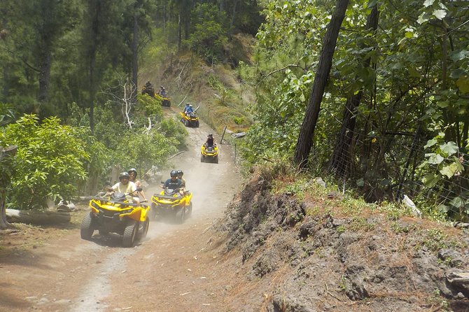 Grand Tour Quad Excursion in Moorea (Single or Two-Seater) - What the guides add to the ride
