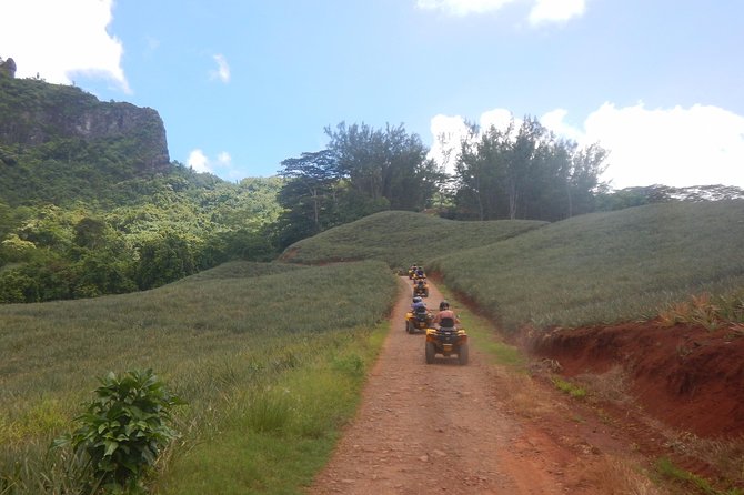 Grand Tour Quad Excursion in Moorea (Single or Two-Seater) - Is $134.33 a fair price?