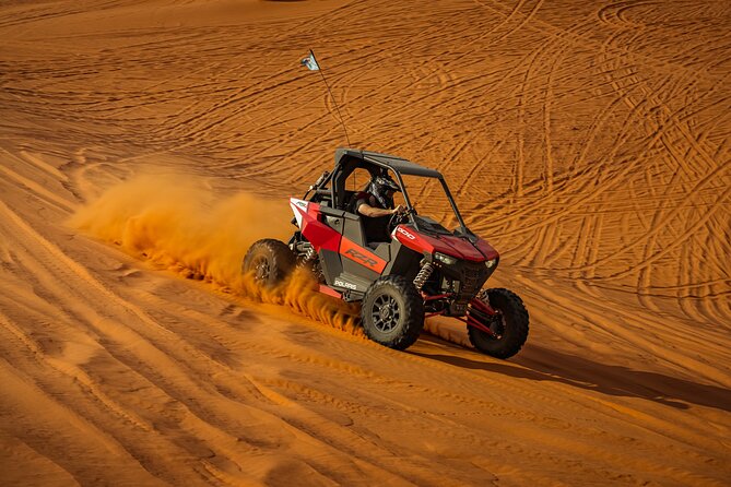 Greater Zion: UTV Surf and Dune Ride at Sand Hollow Dunes - Dinosaur tracks, petroglyphs, and red sandstone