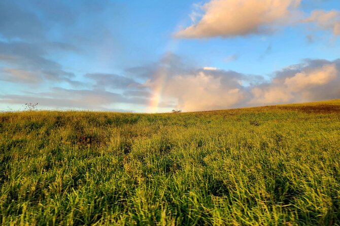 Green Sands Adventure ATV Ride - Who will enjoy this most