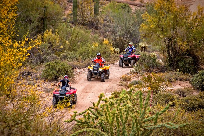 Guided Arizona Desert Tour by ATV - Centipede Tour - Why this ATV ride is worth a closer look