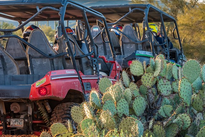 Guided Arizona Desert Tour by UTV - Centipede Tour - Stops for photos, plants, animals, and local stories