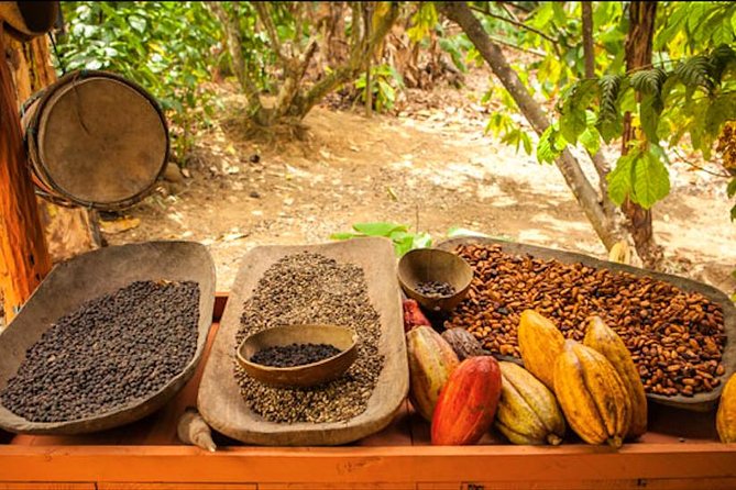Half-Day Adventure 4x4 ATV, Water Cave and Dominican Culture - Macao Beach in only 20 minutes