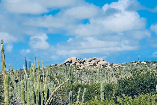 Half-Day Aruba UTV Adventure Tour - Bushiribana Ruins and the route to the Cave Pool