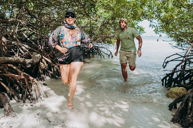 Half-Day Aruba UTV Adventure Tour - What the $220 group price really means
