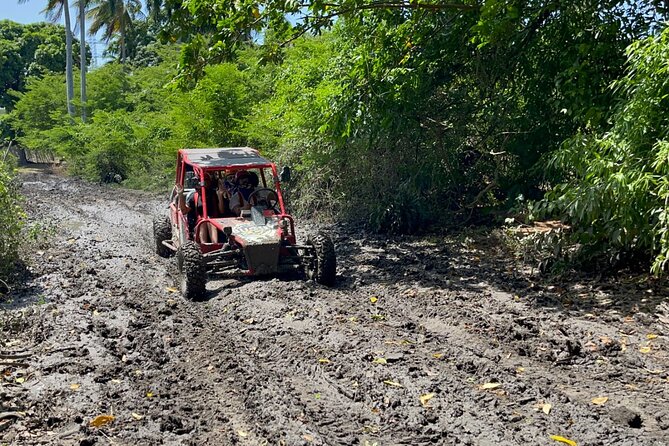 Half-Day Buggy Guided Adventure for Amber Cove and Taino Bay - Port pickup and cruise-day timing