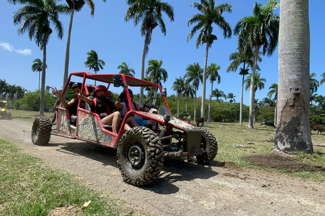 Half-Day Buggy Guided Adventure for Amber Cove and Taino Bay - Is $124 good value for two people?