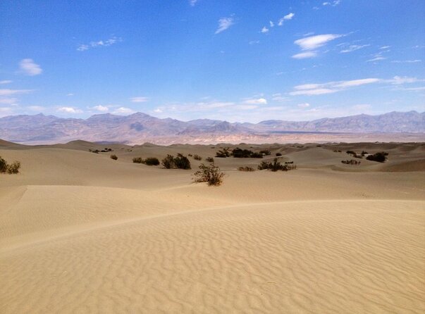 Half-Day Mojave Desert ATV Tour from Las Vegas - From the Strip to the Mojave in one morning
