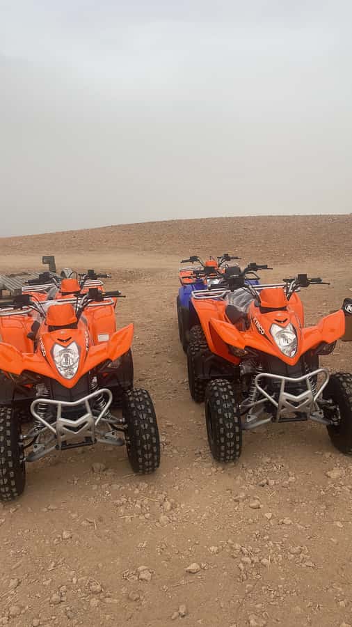 Half day Quad biking at Agafay Desert - The Mint Tea Stop in the Middle