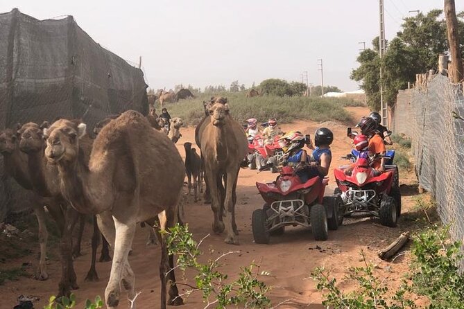 Half Day Quad in Agadir - From Agadir hotel pickup to the riding base