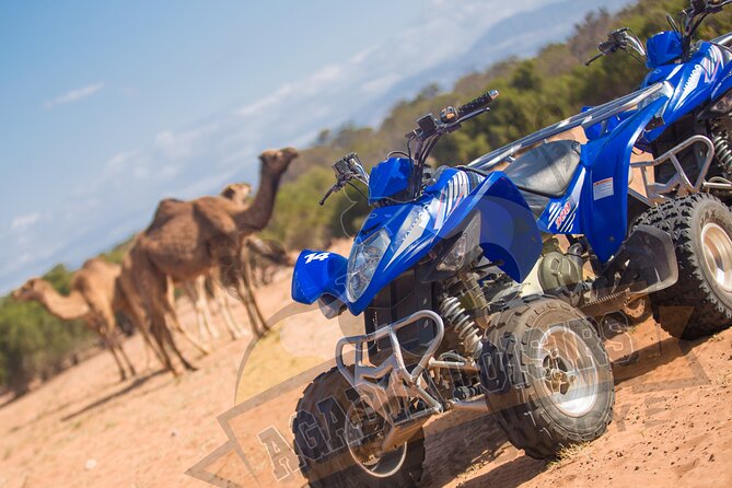 Half-day QUAD In Agadir + pick-up included from Agadir - Who will enjoy this ride most