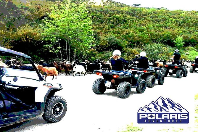 Half-Day Rethymno Quad Safari - The riding is the real attraction