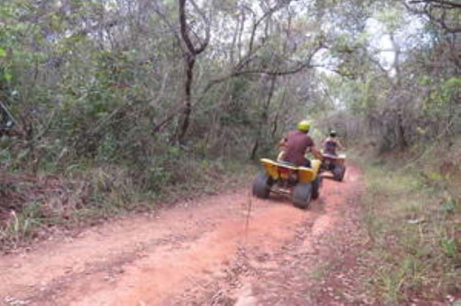 Hazyview : 30 minutes Quad Ride - Through the Macadamia Plantation and Natural Forest