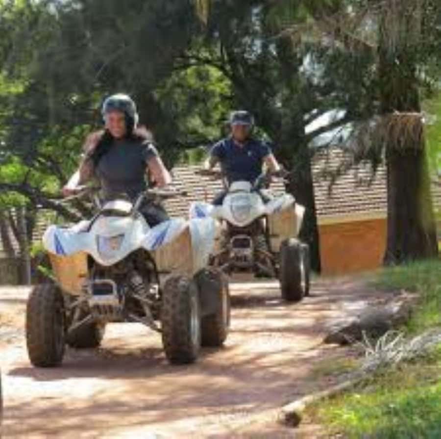 Hazyview: Guided Macadamia Plantation and Forest Quad Safari - Key points to know before you book