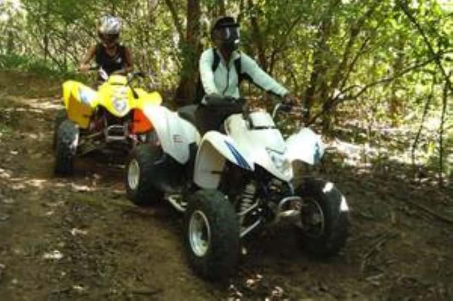Hazyview: Guided Macadamia Plantation and Forest Quad Safari - A one-hour quad ride with real variety