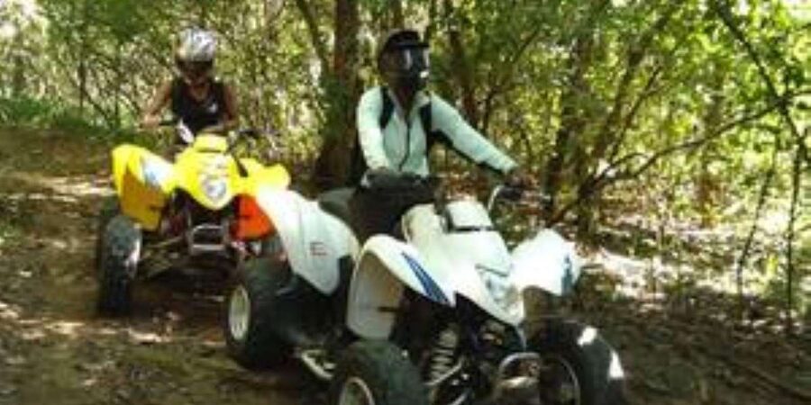 Hazyview: Guided Macadamia Plantation and Forest Quad Safari - Following the Sabie River