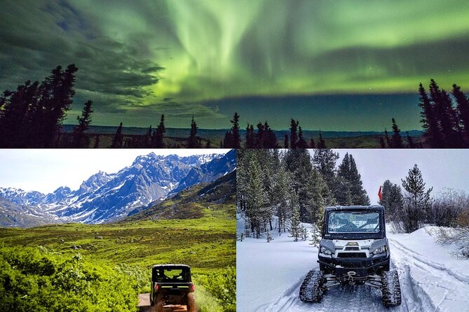Heated and Enclosed ATV Tour in Alaska. Open All Year Round - Wildlife possibilities, with realistic expectations