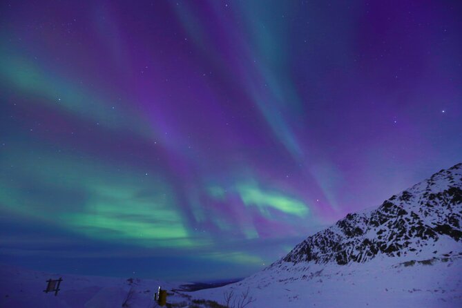 Heated and Enclosed ATV Tour in Alaska. Open All Year Round - What the roughly three-hour schedule feels like