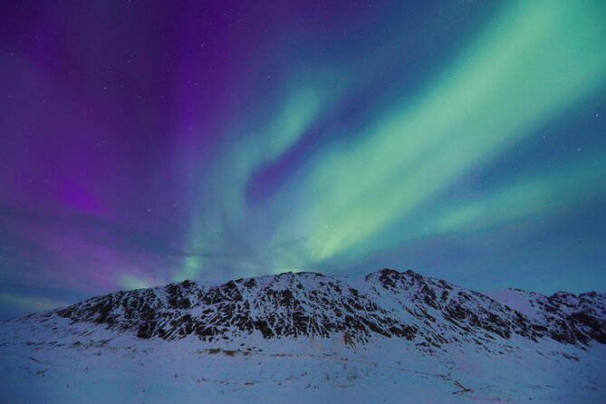 Heated and Enclosed ATV Tour in Alaska. Open All Year Round - Practical details before you book