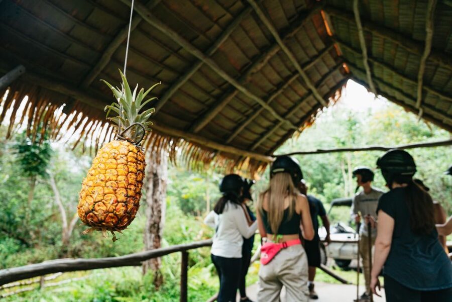 Holualoa: Polynesian Culture ATV Tour - The $219 price and what you receive