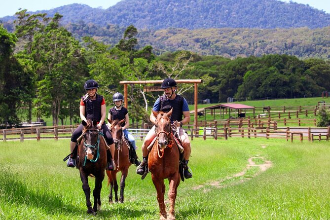 Horse and Quad bike tour with a visit to a Petting Zoo - Key points before you book