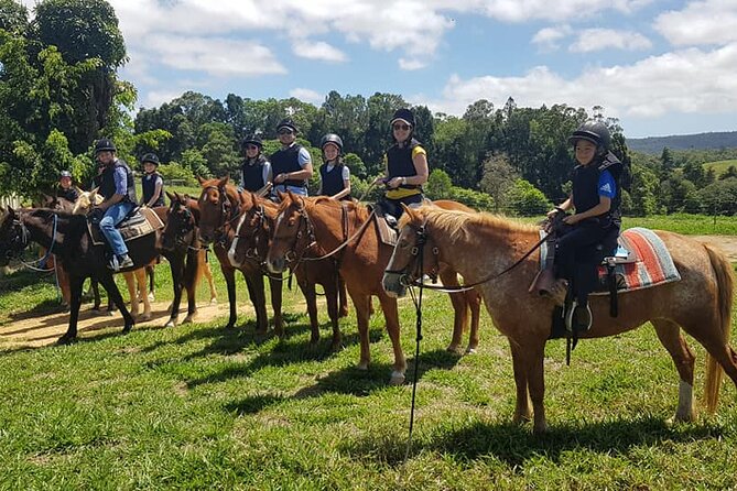 Horse and Quad bike tour with a visit to a Petting Zoo - Two hours at KUR-Cow Barnwell Farm