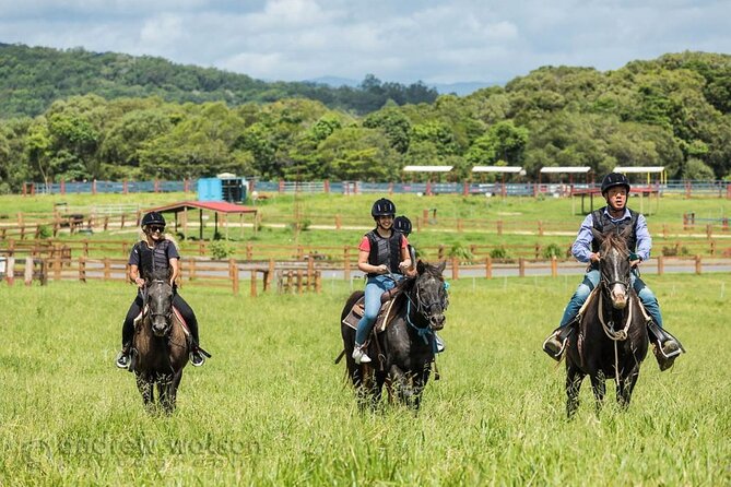 Horse and Quad bike tour with a visit to a Petting Zoo - The petting zoo and rainforest swing
